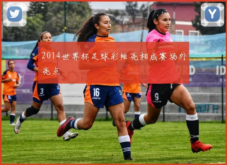 2014世界杯足球彩绘亮相成赛场外亮点