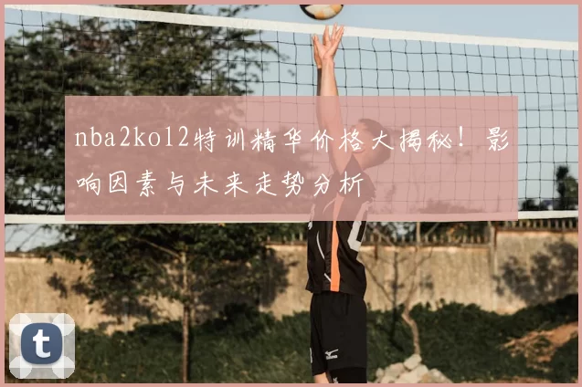 nba2kol2特训精华价格大揭秘！影响因素与未来走势分析