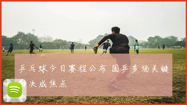 乒乓球今日赛程公布 国乒多场关键对决成焦点