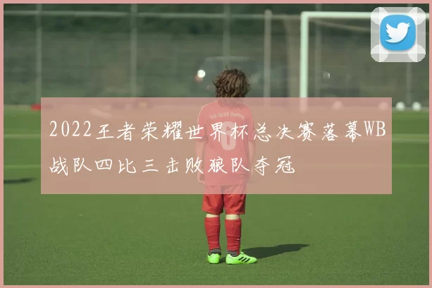 2022王者荣耀世界杯总决赛落幕WB战队四比三击败狼队夺冠