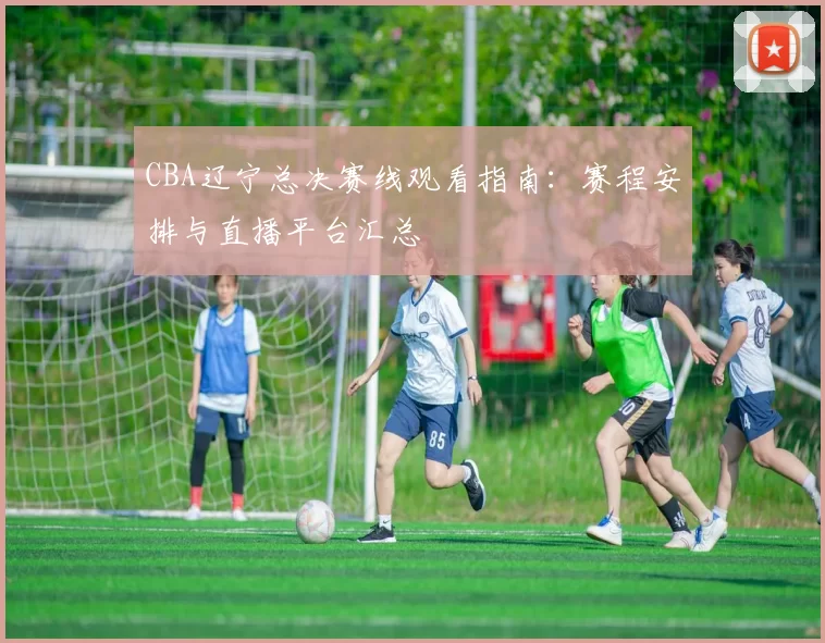 CBA辽宁总决赛线观看指南：赛程安排与直播平台汇总